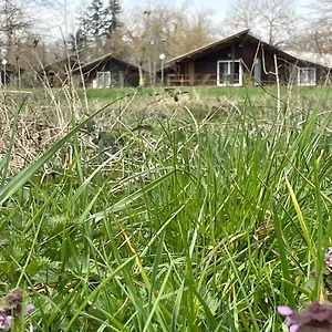  Camping De La Chalaronne Frankrijk